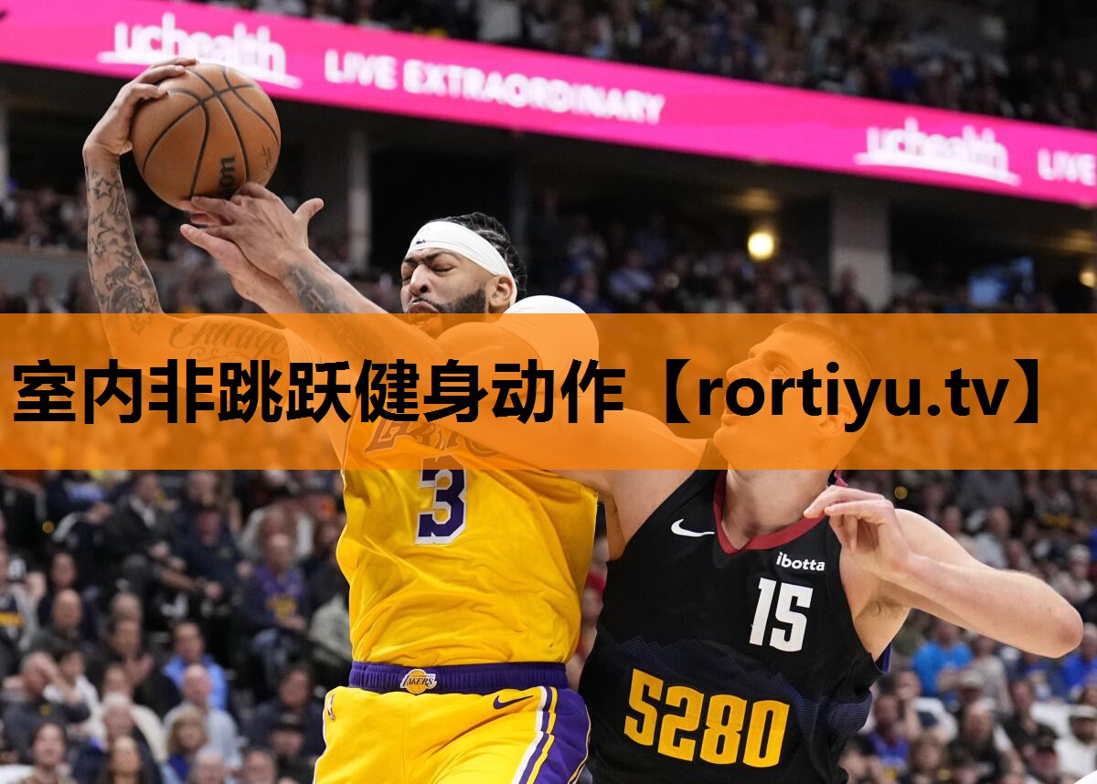 室内非跳跃健身动作