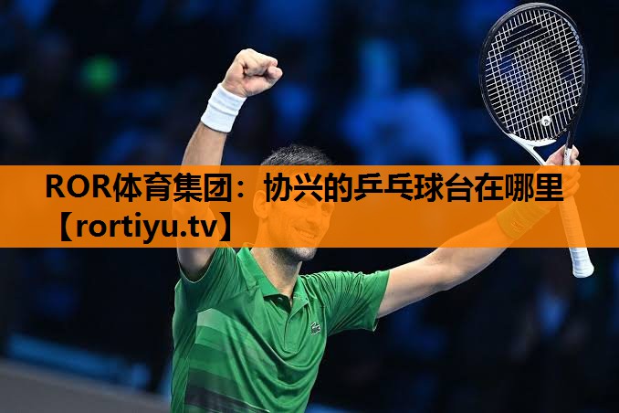 协兴的乒乓球台在哪里