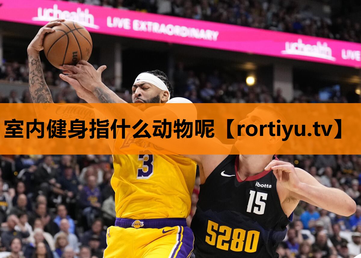 室内健身指什么动物呢