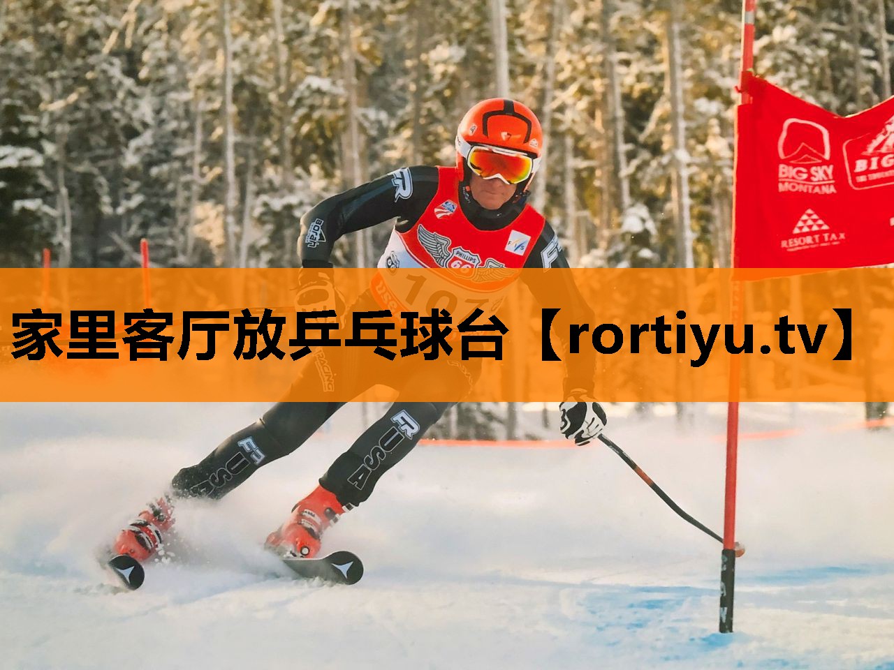家里客厅放乒乓球台