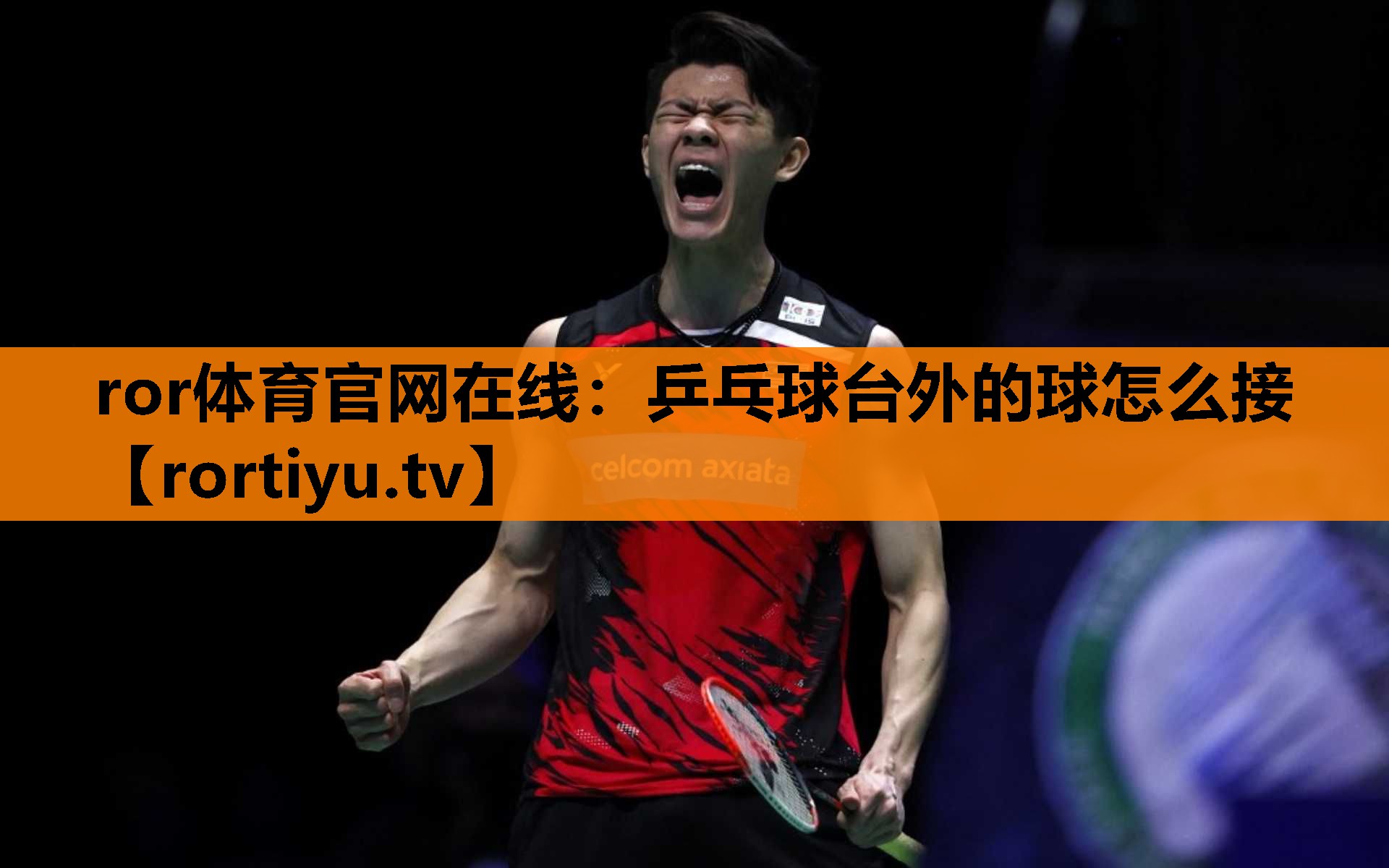 乒乓球台外的球怎么接